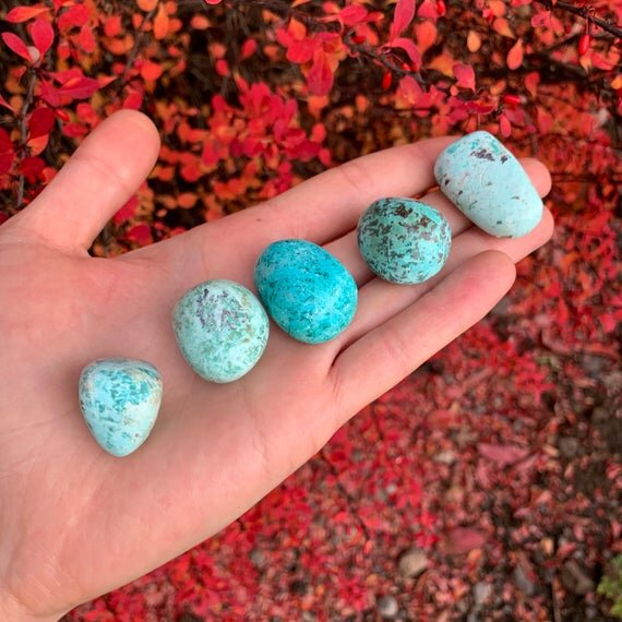 Chrysocolla Hand Polished Stones (0.75-1.50 Inch - A Grade - 24-40 Pieces Per Pound) Ethically Sourced from Peru - Beyond Bohemian