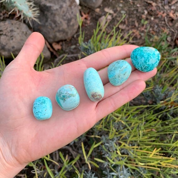 Chrysocolla Hand Polished Stones (0.75-1.50 Inch - A Grade - 24-40 Pieces Per Pound) Ethically Sourced from Peru - Beyond Bohemian