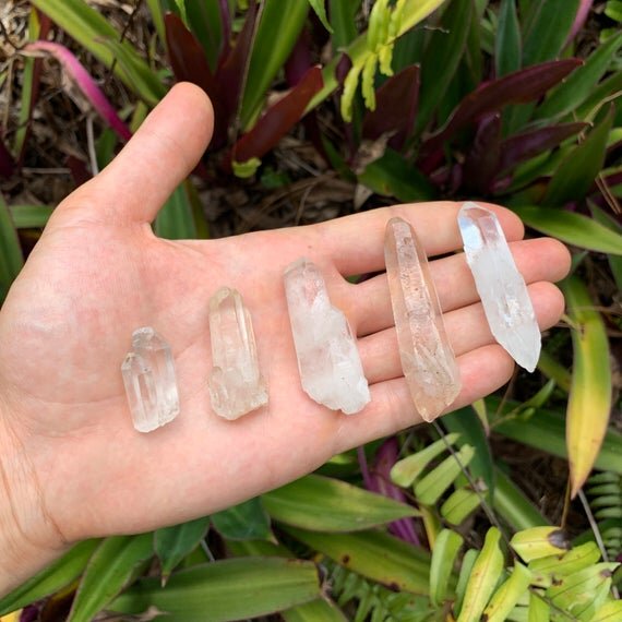 Clear Quartz Raw Crystal Points (1-2 Inch - A Grade - 32-48 Pieces Per Pound) Ethically Sourced from Madagascar - Beyond Bohemian