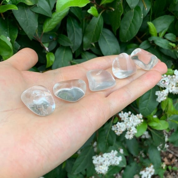 https://i.etsystatic.com/12652071/r/il/396b86/1885049683/il_570xN.1885049683_pnam.jpg