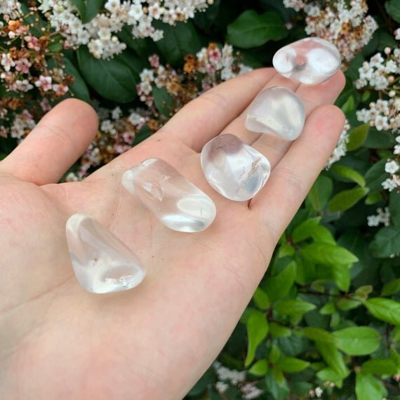 https://i.etsystatic.com/12652071/r/il/92b230/1837570180/il_570xN.1837570180_mewo.jpg