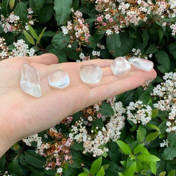 https://i.etsystatic.com/12652071/r/il/75f193/1837570268/il_570xN.1837570268_4bd2.jpg
