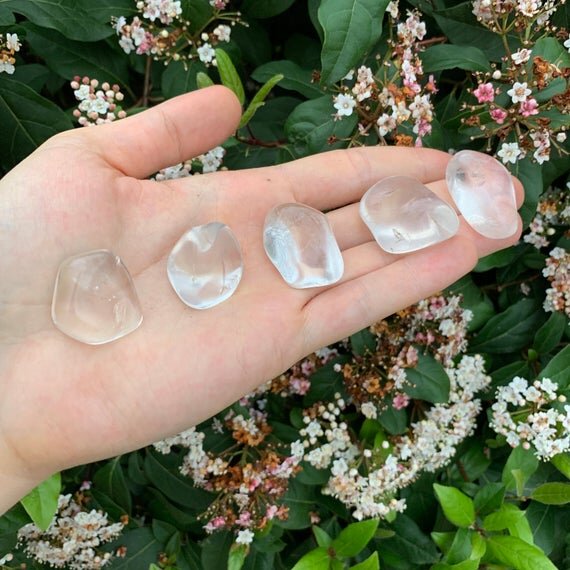 https://i.etsystatic.com/12652071/r/il/5f2067/1837570338/il_570xN.1837570338_kgpm.jpg