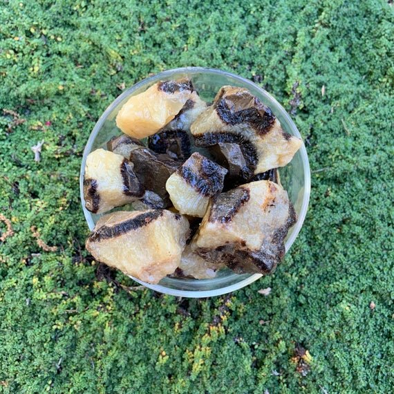 Septarian Raw Stones (1-2 Inch - AA Grade - 12-20 Pieces Per Pound) Ethically Sourced from Madagascar - Beyond Bohemian