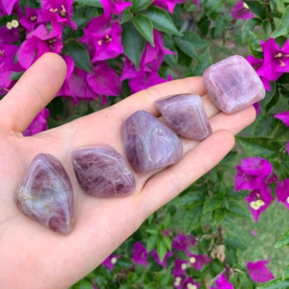 https://i.etsystatic.com/12652071/r/il/44c5c3/3143581829/il_570xN.3143581829_3yk9.jpg