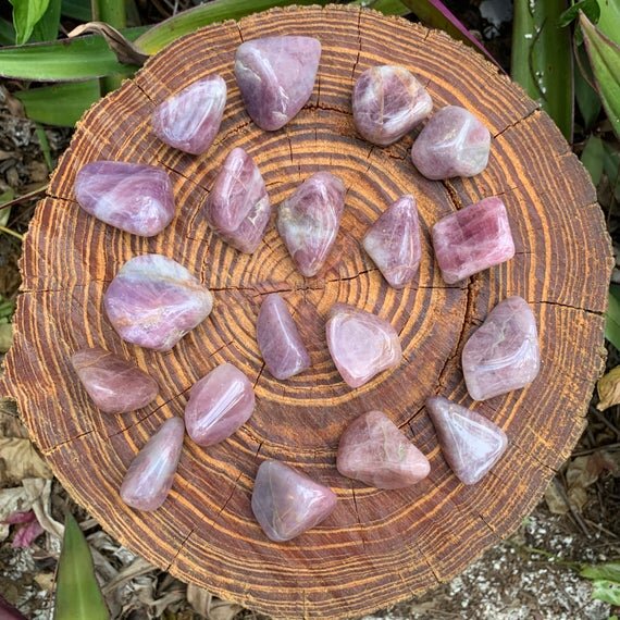 https://i.etsystatic.com/12652071/r/il/b51ca5/3095861192/il_570xN.3095861192_rovc.jpg