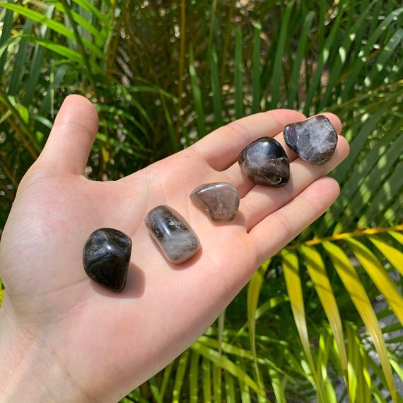Smoky Quartz Tumbled Stones (0.50-1.25 Inch - AA Grade - 48-96 Pieces Per Pound) Ethically Sourced from Madagascar - Beyond Bohemian
