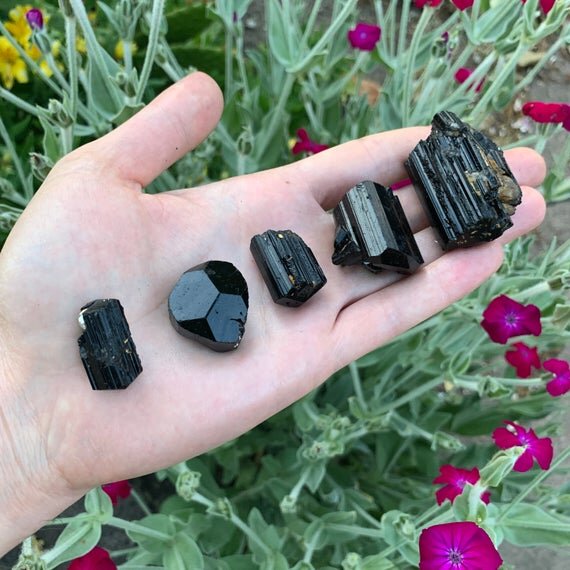 Black Tourmaline Raw Crystals (0.50-2 Inch - AAA Grade - 16-24 Pieces Per Pound) Ethically Sourced from Madagascar - Beyond Bohemian
