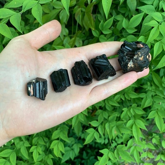 Black Tourmaline Raw Crystals (0.50-2 Inch - AAA Grade - 16-24 Pieces Per Pound) Ethically Sourced from Madagascar - Beyond Bohemian