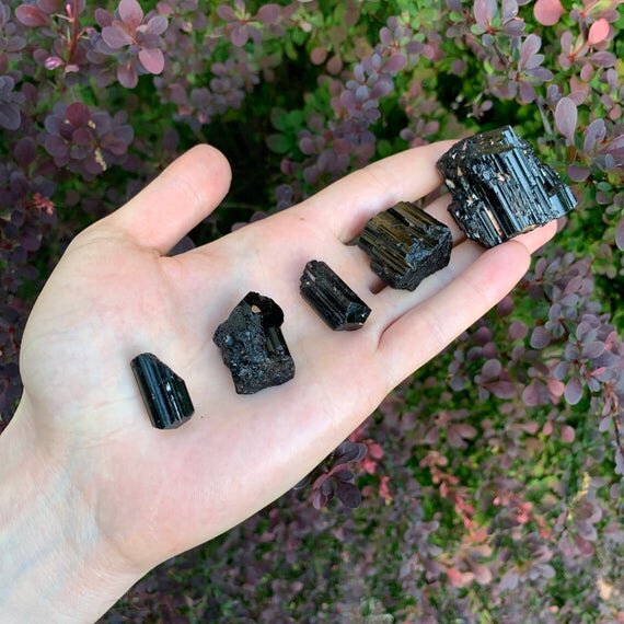 Black Tourmaline Raw Crystals (0.50-2 Inch - AAA Grade - 16-24 Pieces Per Pound) Ethically Sourced from Madagascar - Beyond Bohemian
