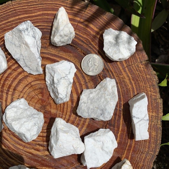 Howlite - Magnesite Raw Stones (1-2 Inch - A Grade - 24-40 Pieces Per Pound) Ethically Sourced from Brazil - Beyond Bohemian