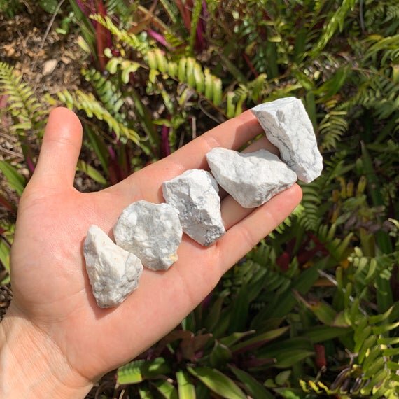 Howlite - Magnesite Raw Stones (1-2 Inch - A Grade - 24-40 Pieces Per Pound) Ethically Sourced from Brazil - Beyond Bohemian