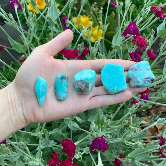 https://i.etsystatic.com/12652071/r/il/fc6b5a/2357712771/il_570xN.2357712771_glrf.jpg