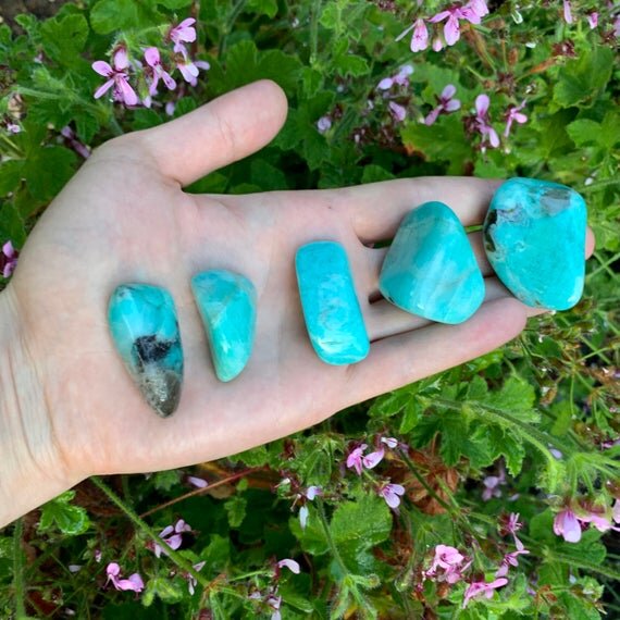 https://i.etsystatic.com/12652071/r/il/9f60c2/2357712901/il_570xN.2357712901_70n3.jpg