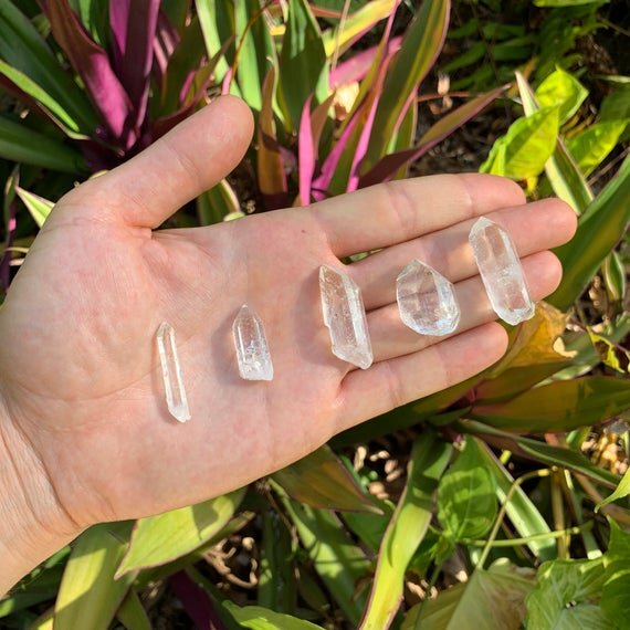 Lemurian Quartz Raw Crystal Points (0.50-1.50 Inch - AA Grade - 48-96 Pieces Per Pound - AA Grade) Ethically Sourced from Colombia - Beyond Bohemian