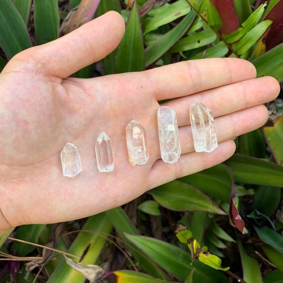 Lemurian Quartz Raw Crystal Points (0.50-1.50 Inch - AA Grade - 48-96 Pieces Per Pound - AA Grade) Ethically Sourced from Colombia - Beyond Bohemian