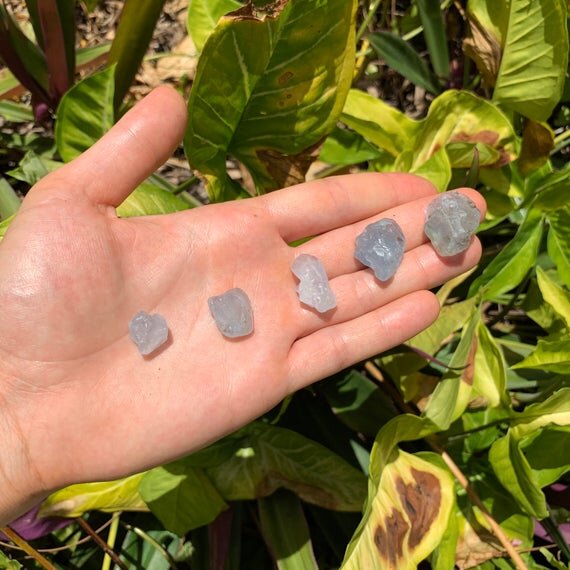 Celestite Raw Crystal Point Chunks (0.50-1 Inch - AA Grade - 80-160 Pieces Per Pound) Ethically Sourced from Madagascar - Beyond Bohemian