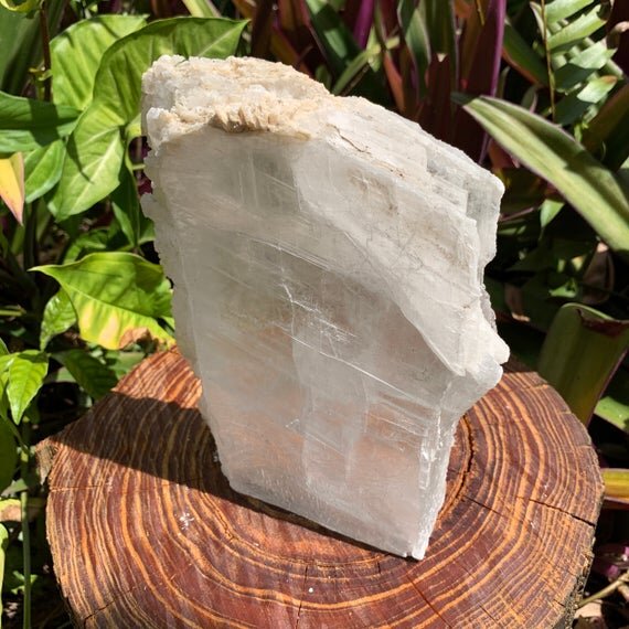 Selenite Raw Crystal Clearing Slab Specimen with Cut Base Ethically Sourced from New Mexico - Beyond Bohemian