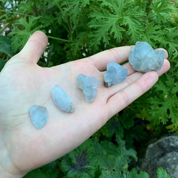 Celestite Raw Crystal Point Chunks (0.50-1.25 Inch - AA Grade - 24-48 Pieces Per Pound) Ethically Sourced from Madagascar - Beyond Bohemian