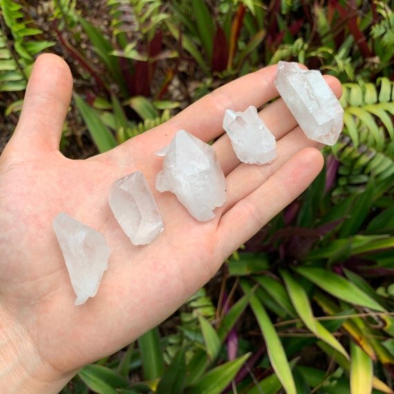 Clear Quartz Raw Crystal Points (1-2 Inch - A Grade - 16-24 Pieces Per Pound) Ethically Sourced from Arkansas - Beyond Bohemian