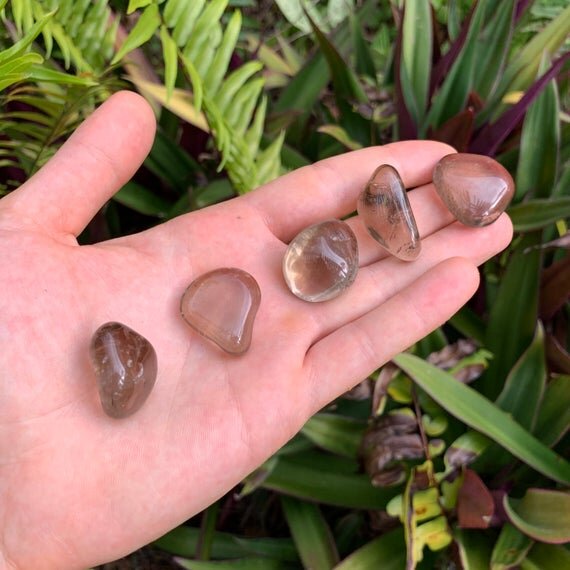 Smoky Quartz Tumbled Stones (0.75-1.25 Inch - AAA Grade - 32-64 Pieces Per Pound) Ethically Sourced from Brazil - Beyond Bohemian
