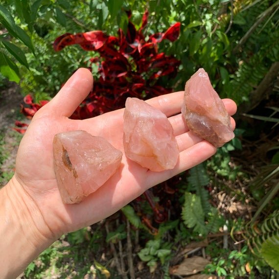 Rose Quartz Raw Crystals (1.50-3 Inch - A Grade - 3-4 Pieces Per Pound) Ethically Sourced from South Dakota - Beyond Bohemian