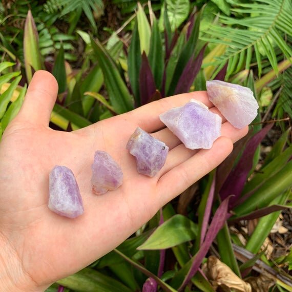 Amethyst Raw Crystals (1-2 Inch - A Grade - 12-20 Pieces Per Pound) Ethically Sourced from Madagascar - Beyond Bohemian