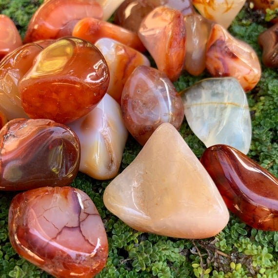 Carnelian Tumbled Stones (0.75-1.50 Inch - AA Grade - 32-48 Pieces Per Pound) Ethically Sourced from Madagascar - Beyond Bohemian