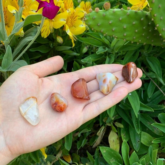 Carnelian Tumbled Stones (0.75-1.50 Inch - AA Grade - 32-48 Pieces Per Pound) Ethically Sourced from Madagascar - Beyond Bohemian