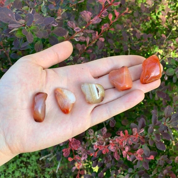 Carnelian Tumbled Stones (0.75-1.50 Inch - AA Grade - 32-48 Pieces Per Pound) Ethically Sourced from Madagascar - Beyond Bohemian