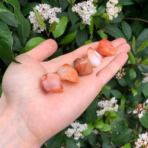 Carnelian Tumbled Stones (0.75-1.50 Inch - AA Grade - 32-48 Pieces Per Pound) Ethically Sourced from Madagascar - Beyond Bohemian