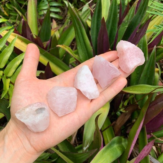 Rose Quartz Raw Crystals (1-2 Inch - AA Grade - 12-20 Pieces Per Pound) Ethically Sourced from Madagascar - Beyond Bohemian