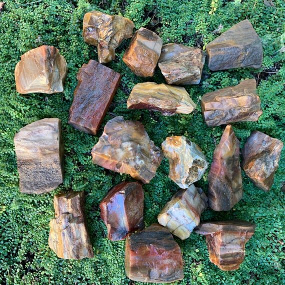 Petrified Wood Raw Stones (1-2 Inch - A Grade - 12-20 Pieces Per Pound) Ethically Sourced from Madagascar - Beyond Bohemian