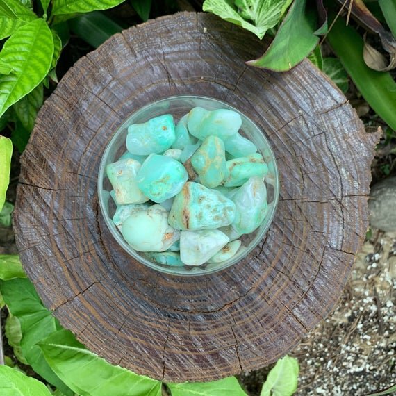 Chrysoprase Tumbled Stones (1-1.50 Inch - A Grade - 24-40 Pieces Per Pound) Ethically Sourced from Brazil - Beyond Bohemian