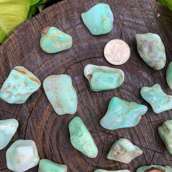Chrysoprase Tumbled Stones (1-1.50 Inch - A Grade - 24-40 Pieces Per Pound) Ethically Sourced from Brazil - Beyond Bohemian