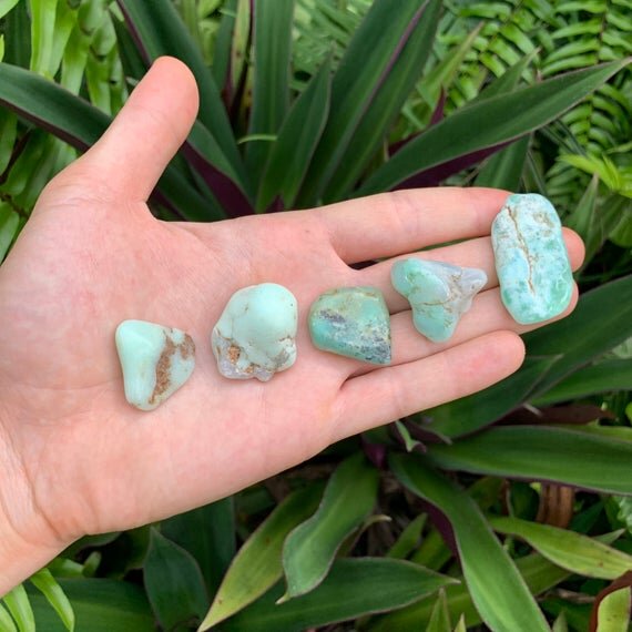 Chrysoprase Tumbled Stones (1-1.50 Inch - A Grade - 24-40 Pieces Per Pound) Ethically Sourced from Brazil - Beyond Bohemian