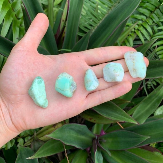 Chrysoprase Tumbled Stones (1-1.50 Inch - A Grade - 24-40 Pieces Per Pound) Ethically Sourced from Brazil - Beyond Bohemian