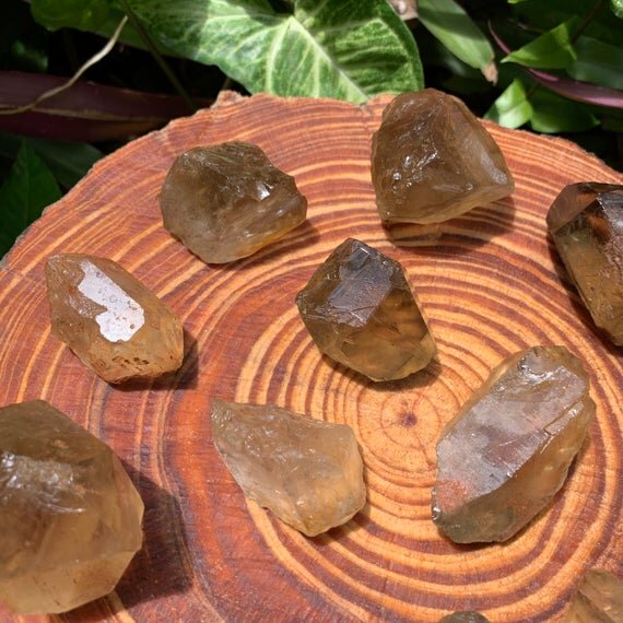 https://i.etsystatic.com/12652071/r/il/f90e53/3257151404/il_570xN.3257151404_evnw.jpg