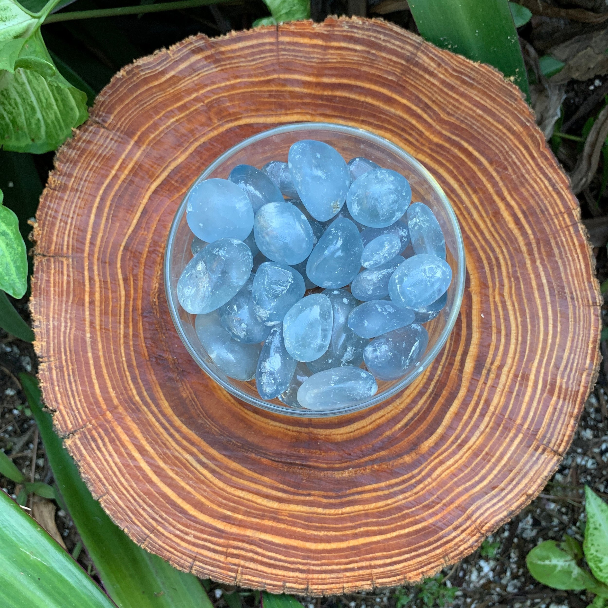 Celestite Hand Polished Stones (0.75-1.50 Inch - AA Grade - 24-40 Pieces Per Pound) Ethically Sourced from Madagascar - Beyond Bohemian