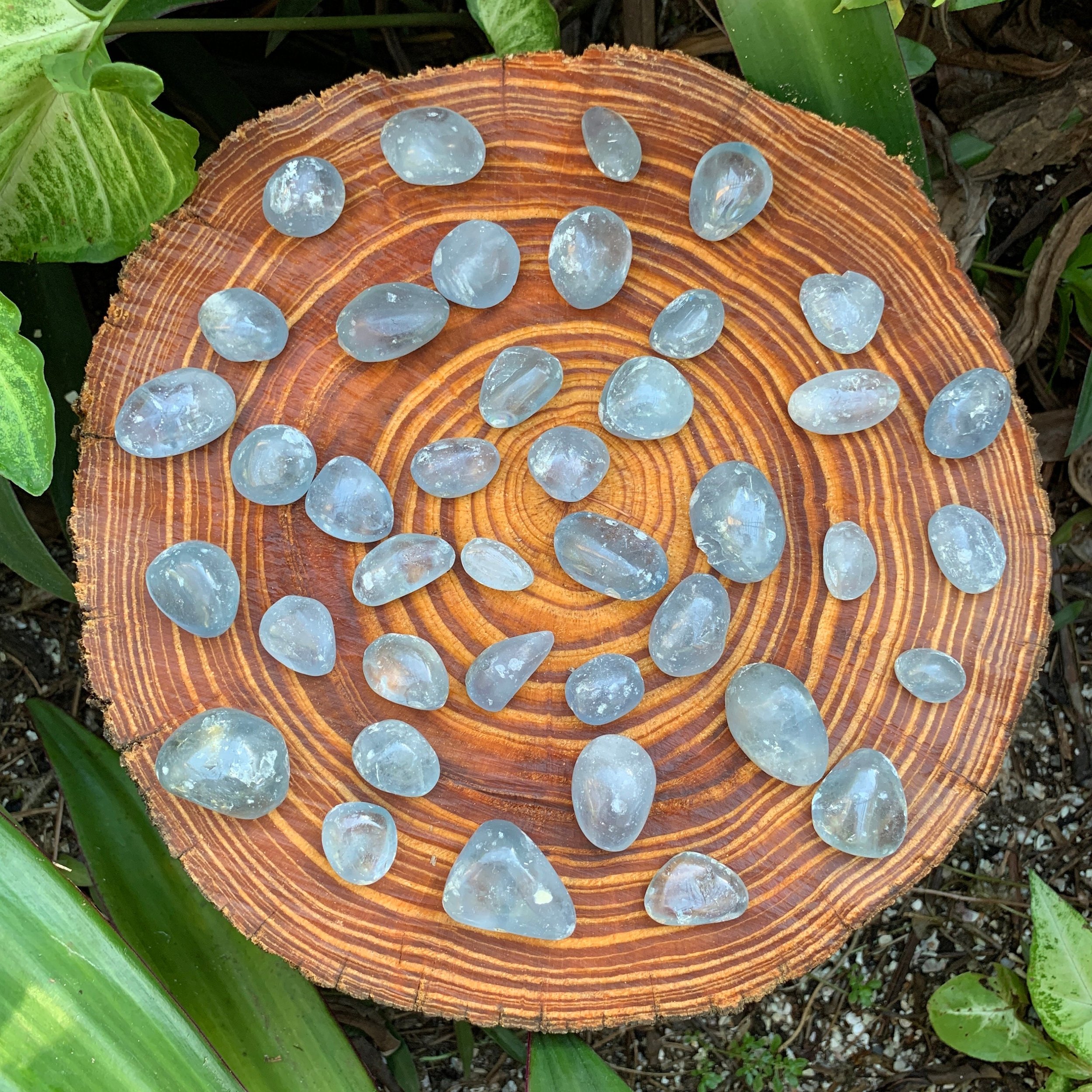 Celestite Hand Polished Stones (0.75-1.50 Inch - AA Grade - 24-40 Pieces Per Pound) Ethically Sourced from Madagascar - Beyond Bohemian