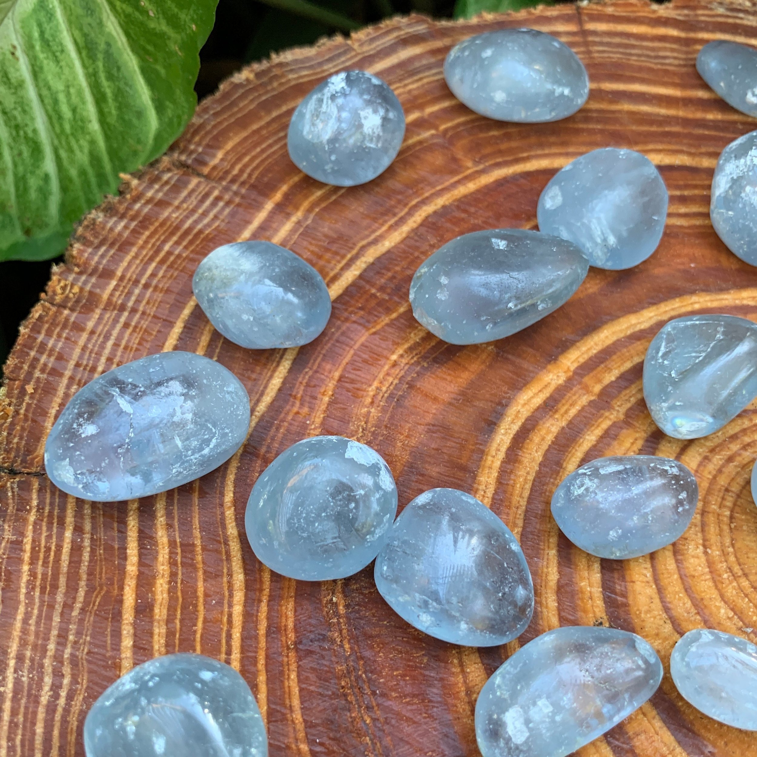 Celestite Hand Polished Stones (0.75-1.50 Inch - AA Grade - 24-40 Pieces Per Pound) Ethically Sourced from Madagascar - Beyond Bohemian