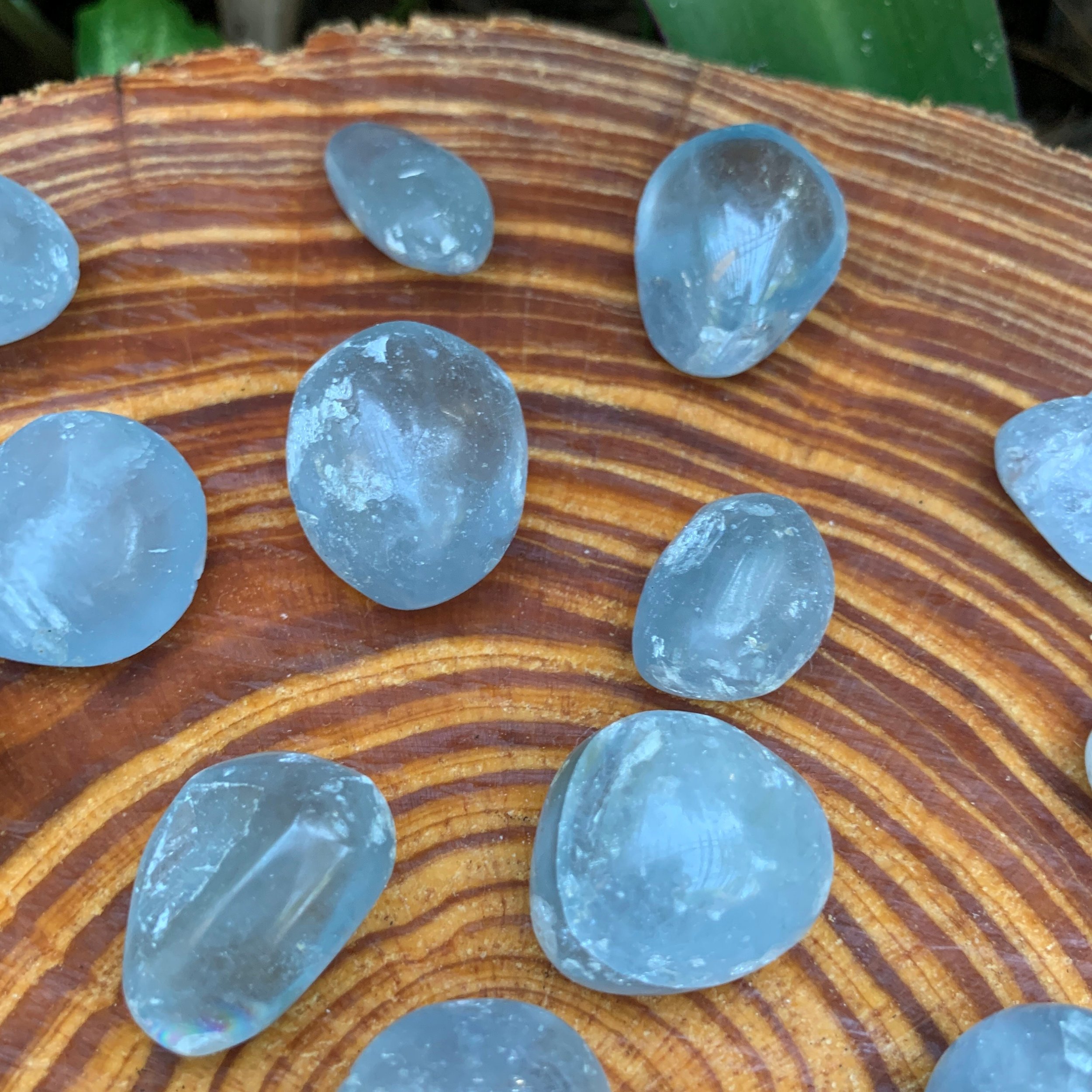 Celestite Hand Polished Stones (0.75-1.50 Inch - AA Grade - 24-40 Pieces Per Pound) Ethically Sourced from Madagascar - Beyond Bohemian