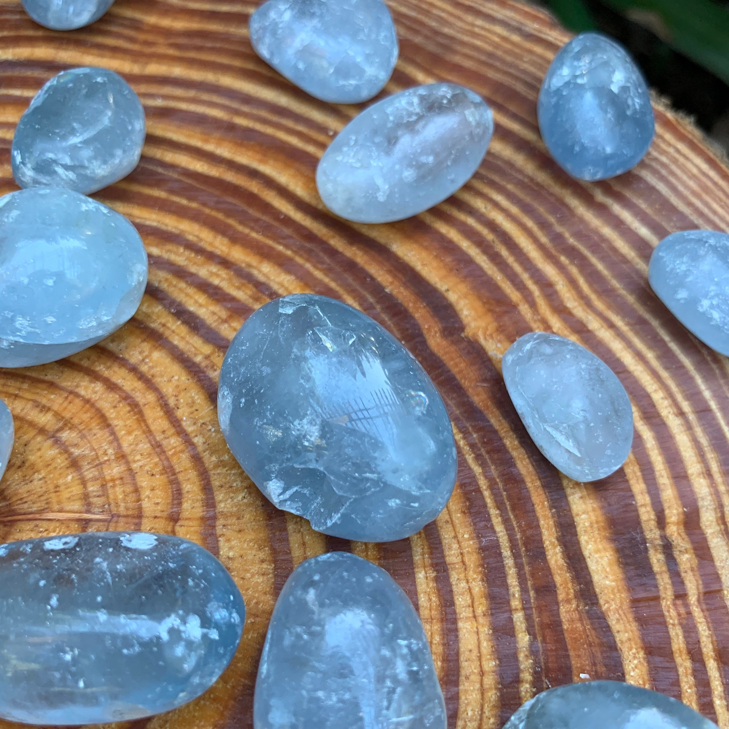 Celestite Hand Polished Stones (0.75-1.50 Inch - AA Grade - 24-40 Pieces Per Pound) Ethically Sourced from Madagascar - Beyond Bohemian