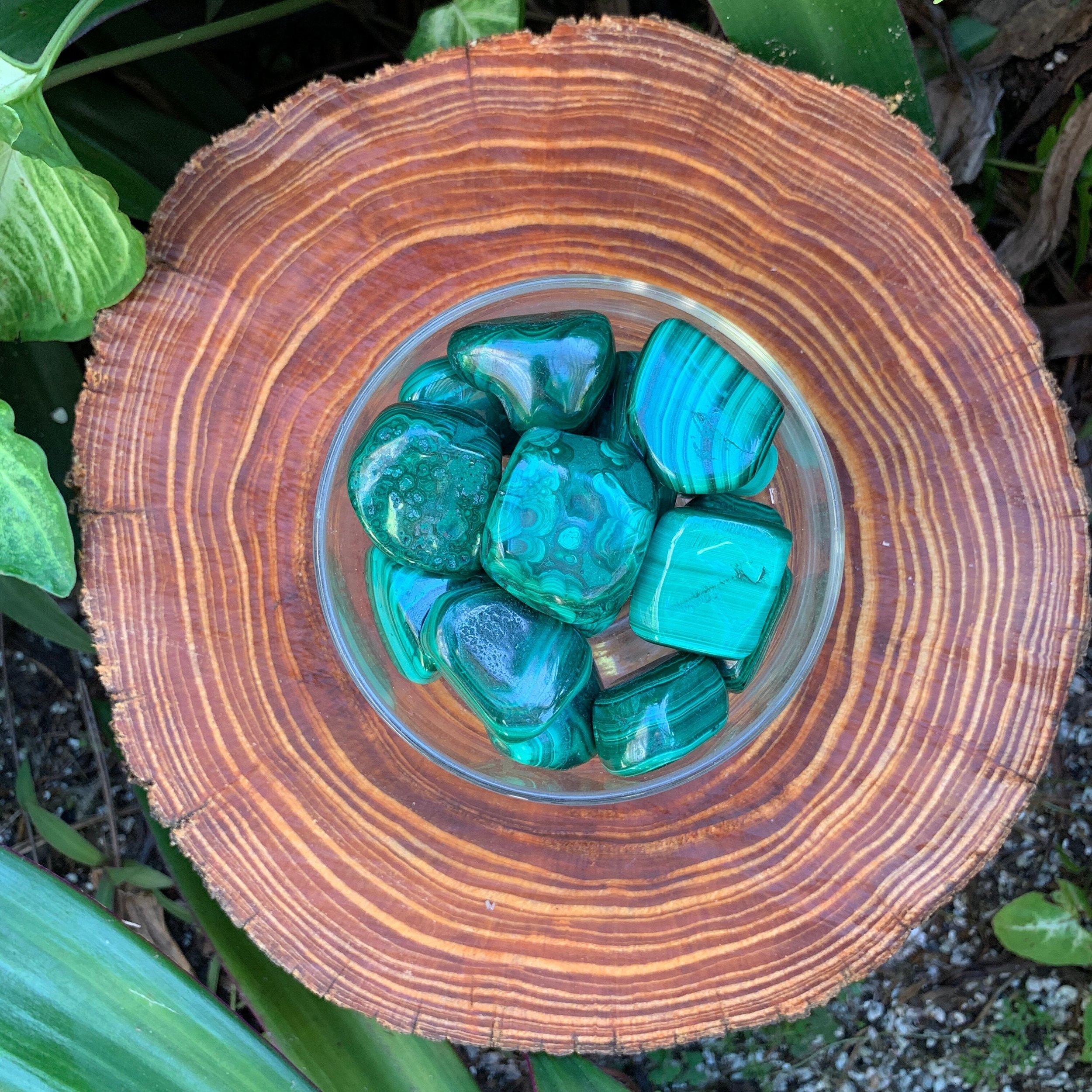 Malachite Hand Polished Stones (1-1.50 Inch - AA Grade - 16-24 Pieces Per Pound) Ethically Sourced from Democratic Republic of the Congo - Beyond Bohemian