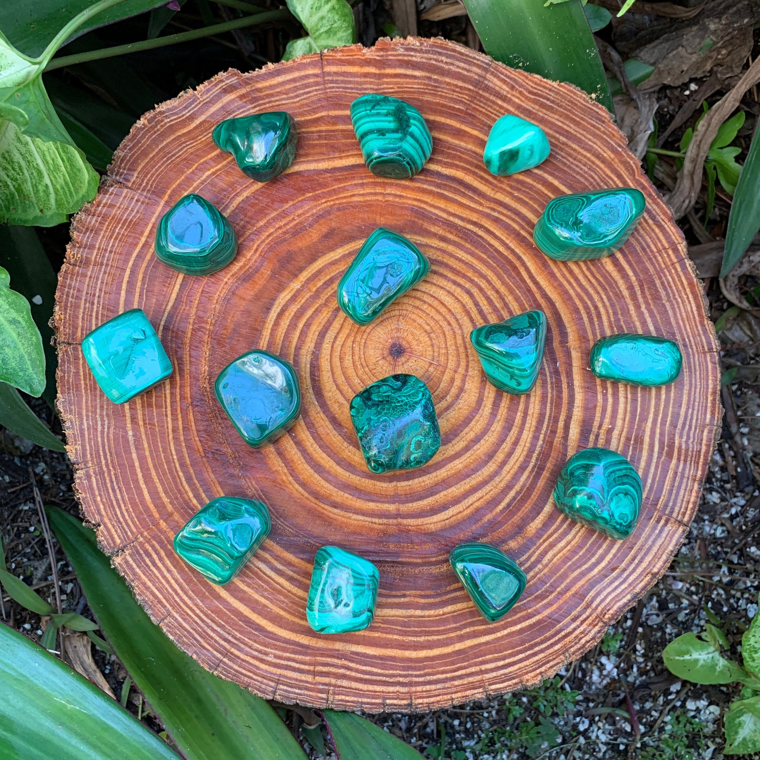 Malachite Hand Polished Stones (1-1.50 Inch - AA Grade - 16-24 Pieces Per Pound) Ethically Sourced from Democratic Republic of the Congo - Beyond Bohemian
