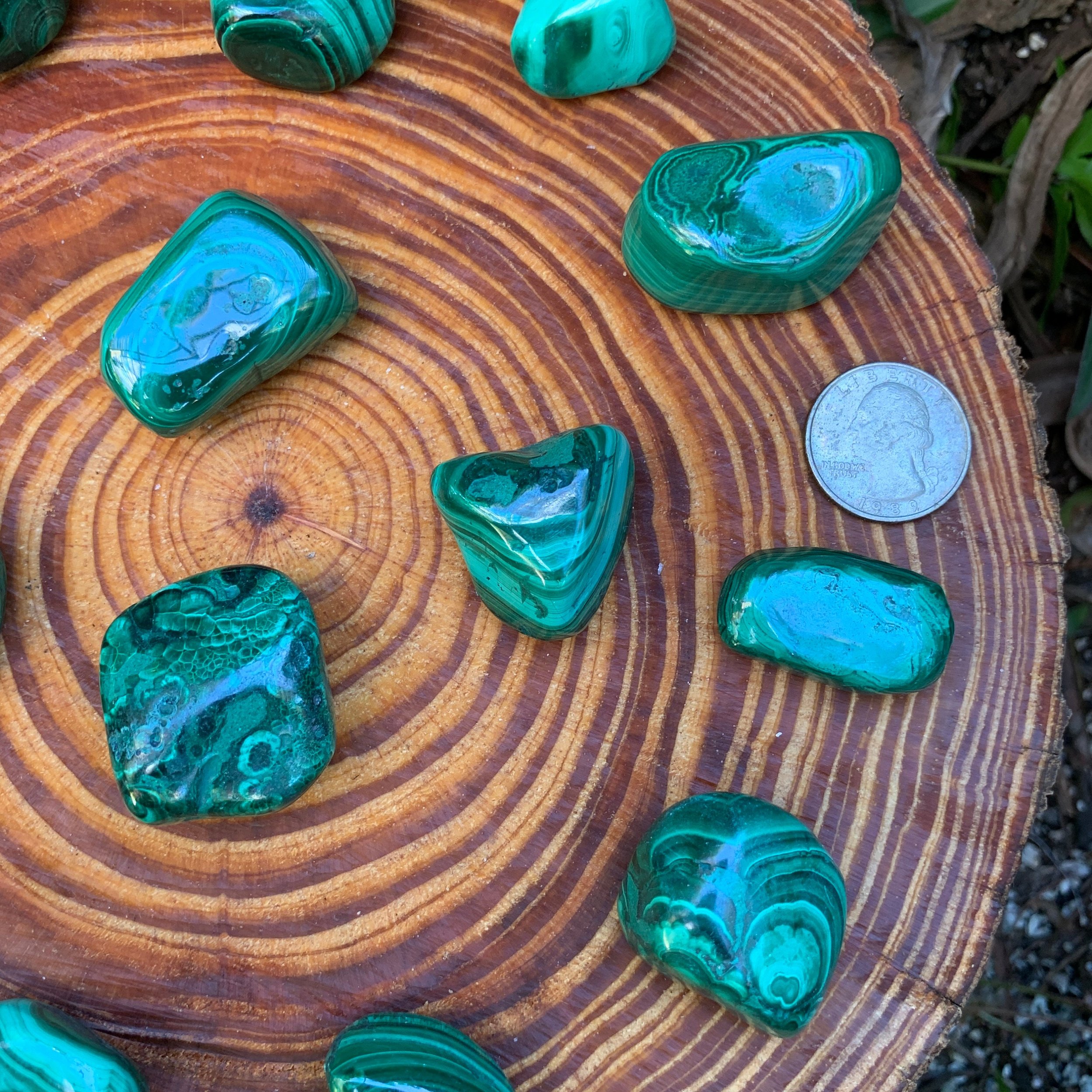 Malachite Hand Polished Stones (1-1.50 Inch - AA Grade - 16-24 Pieces Per Pound) Ethically Sourced from Democratic Republic of the Congo - Beyond Bohemian