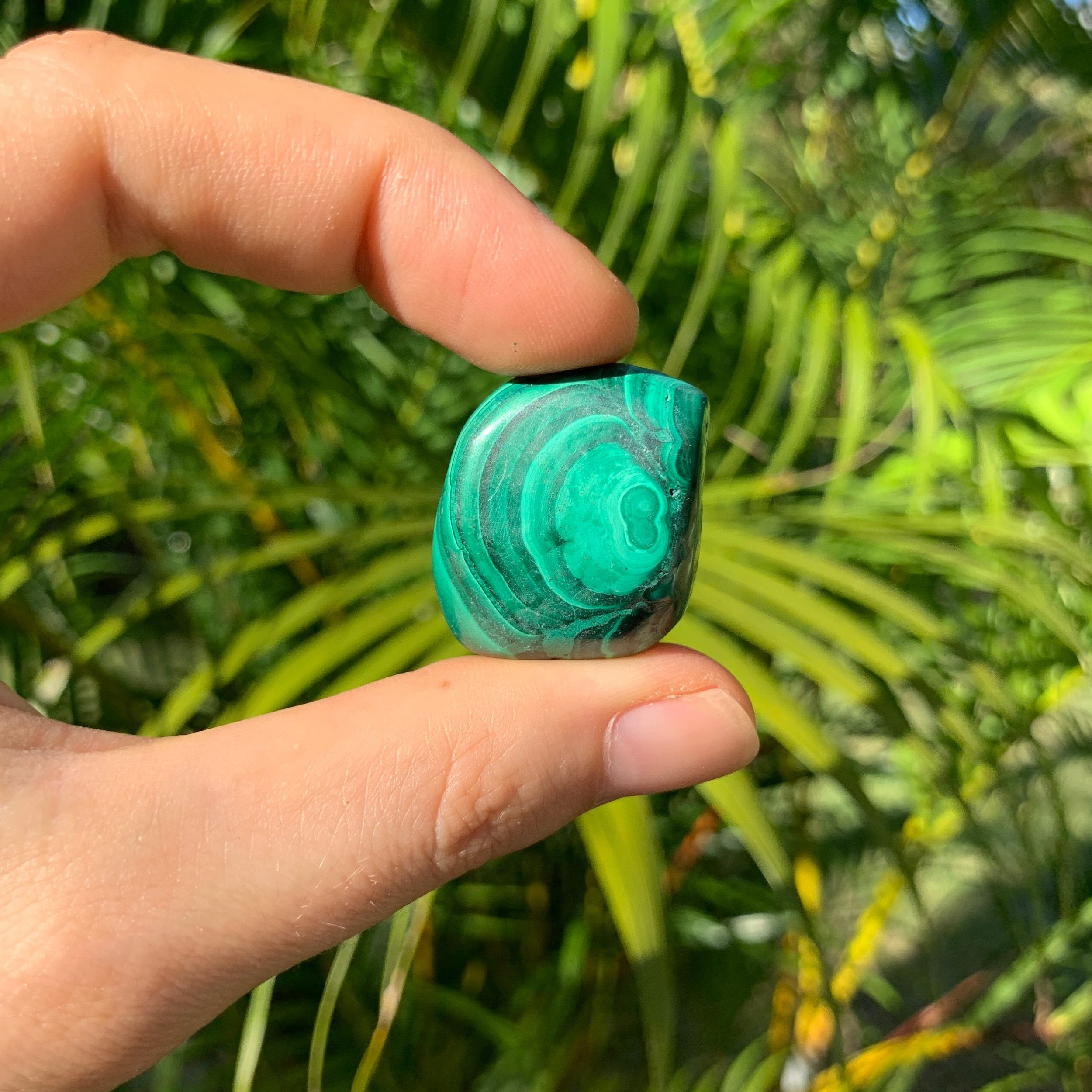 Malachite Hand Polished Stones (1-1.50 Inch - AA Grade - 16-24 Pieces Per Pound) Ethically Sourced from Democratic Republic of the Congo - Beyond Bohemian