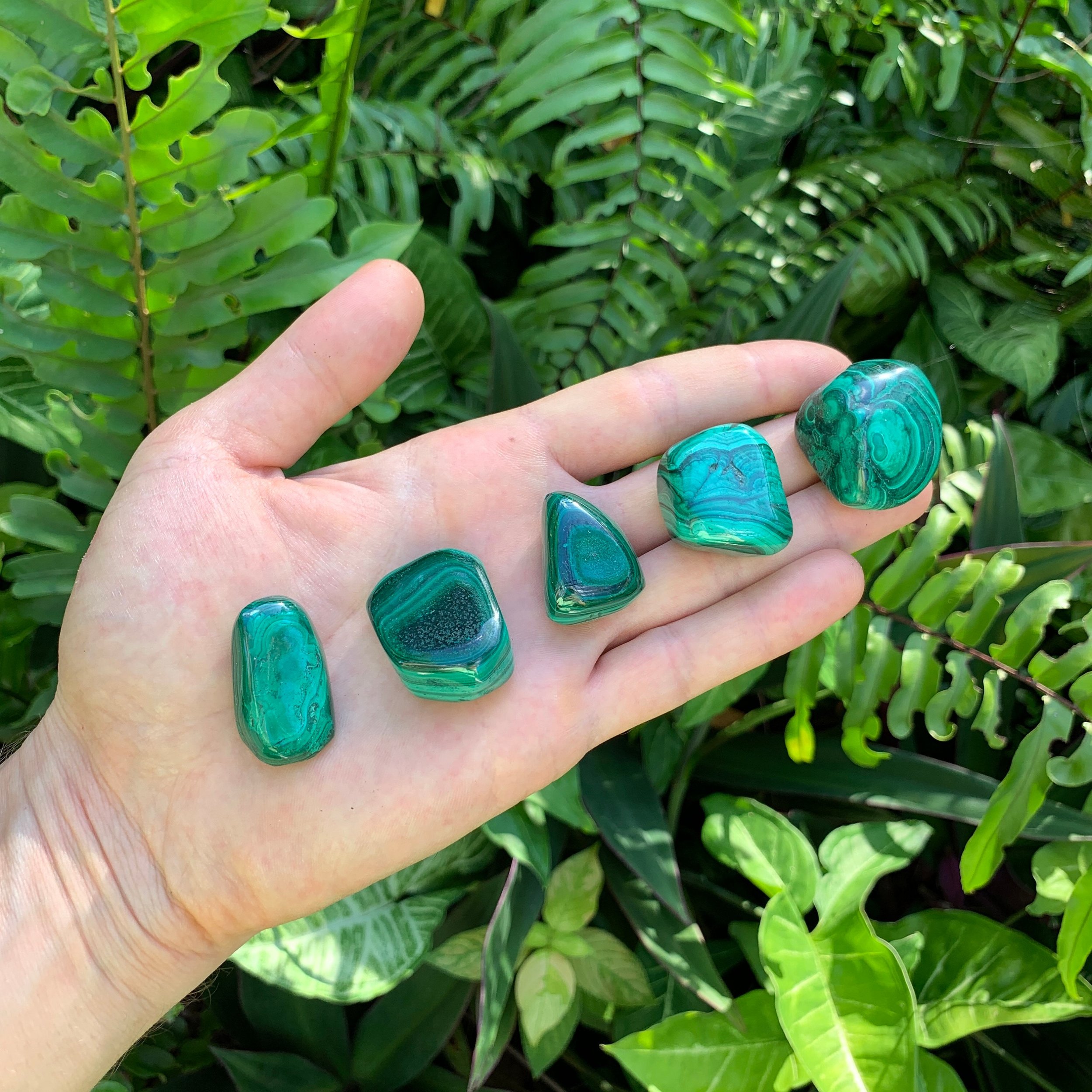 Malachite Hand Polished Stones (1-1.50 Inch - AA Grade - 16-24 Pieces Per Pound) Ethically Sourced from Democratic Republic of the Congo - Beyond Bohemian