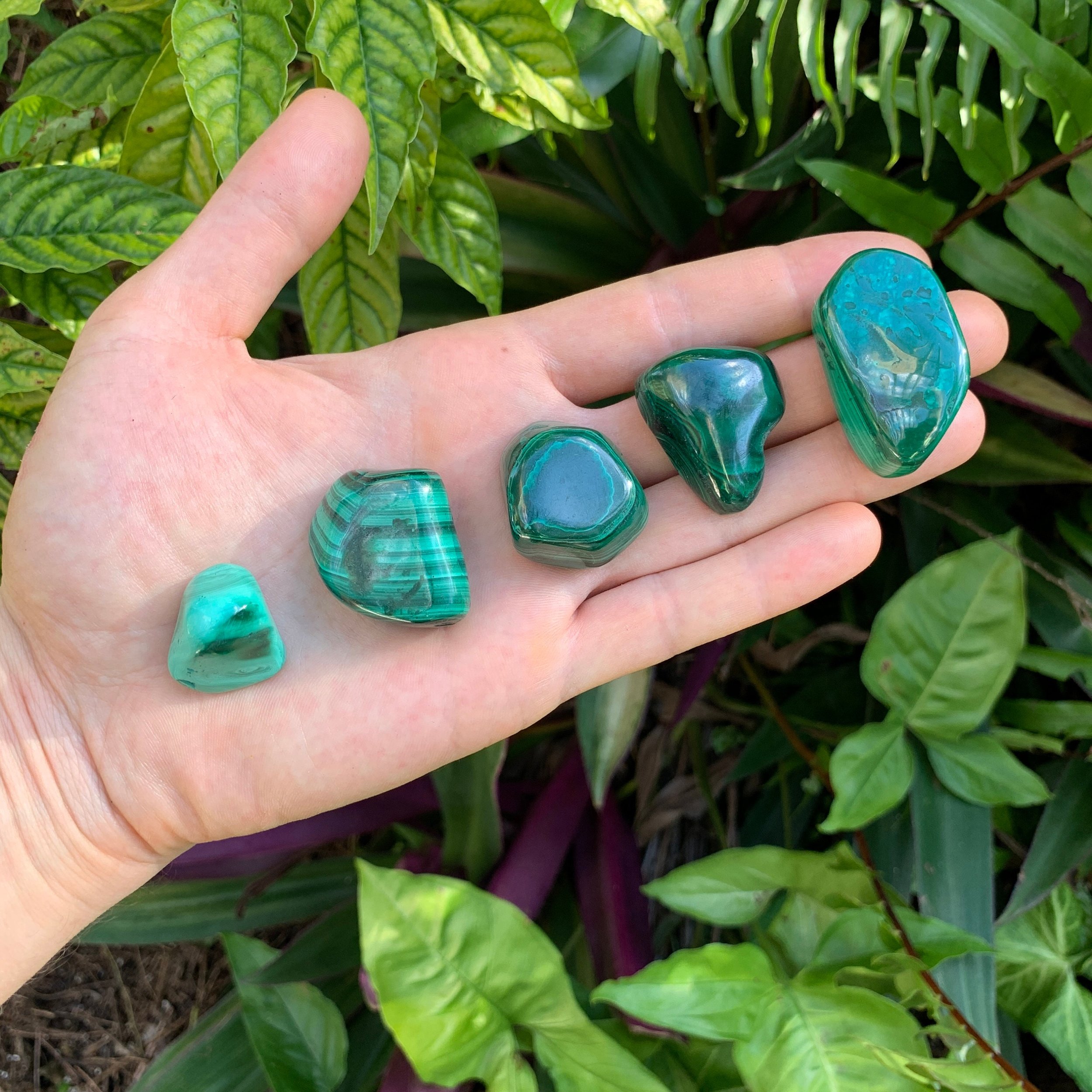 Malachite Hand Polished Stones (1-1.50 Inch - AA Grade - 16-24 Pieces Per Pound) Ethically Sourced from Democratic Republic of the Congo - Beyond Bohemian
