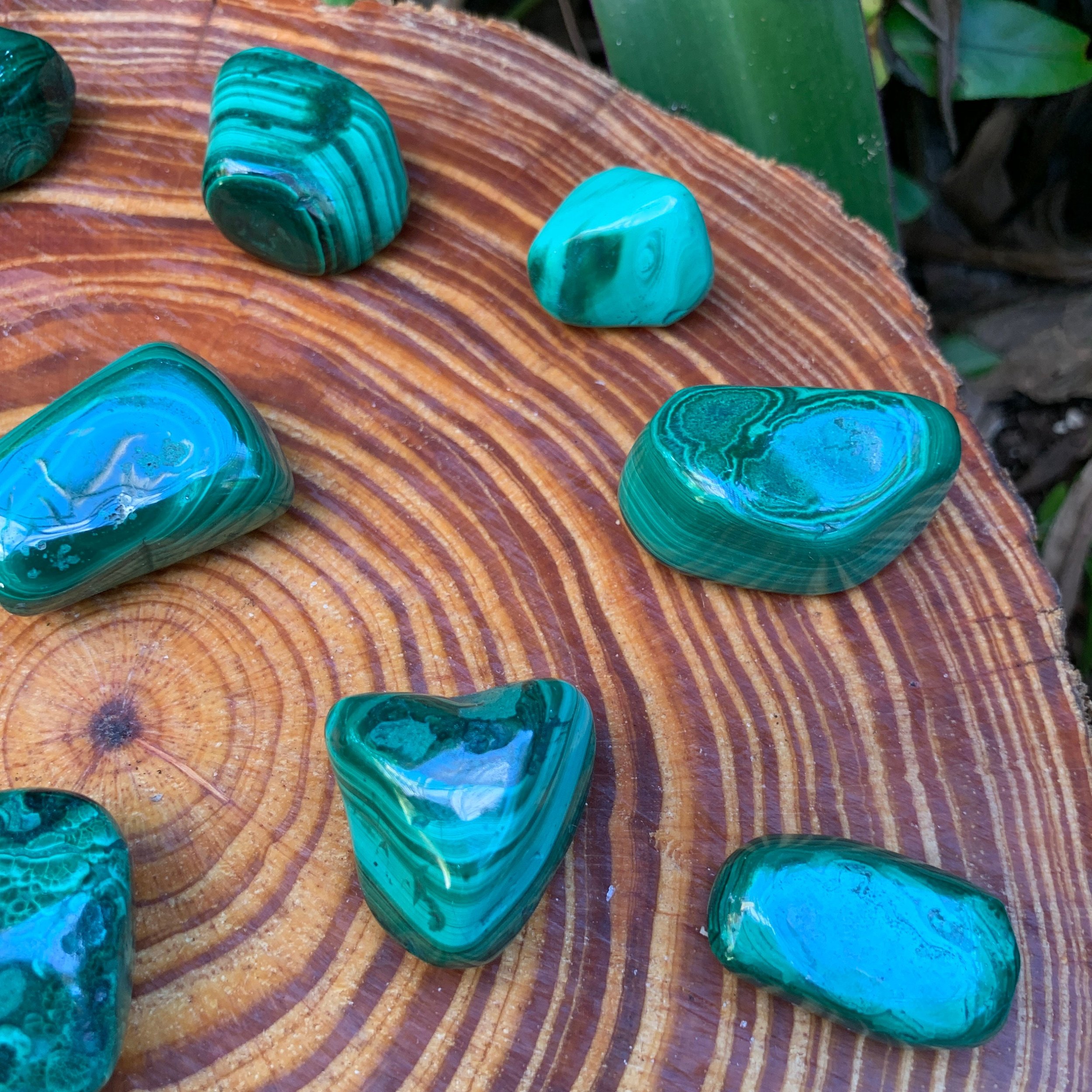 Malachite Hand Polished Stones (1-1.50 Inch - AA Grade - 16-24 Pieces Per Pound) Ethically Sourced from Democratic Republic of the Congo - Beyond Bohemian